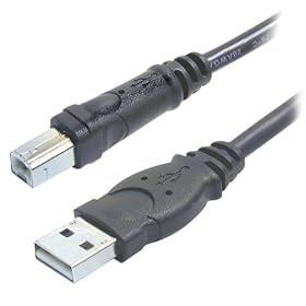 Belkin Pro Series USB 2.0 Device Cable (USB A USB B, 10 Feet) by Belkin