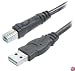 Belkin F3U133-10 Hi-Speed USB 2.0 Cable (10 Feet)