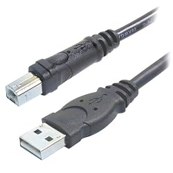 Belkin F3U133-10 Hi-Speed USB 2.0 Cable (10 Feet)