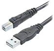Belkin F3U133-10 Hi-Speed USB 2.0 Cable (10 Feet)