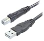 Belkin F3U133-10 Hi-Speed USB 2.0 Cable (10 Feet)