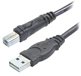 Belkin F3U133-10 Hi-Speed USB 2.0 Cable (10 Feet)