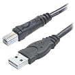 Belkin F3U133-10 Hi-Speed USB 2.0 Cable (10 Feet) ~ Belkin