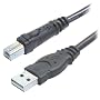 Belkin F3U133-10 Hi-Speed USB 2.0 Cable (10 Feet)