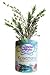 Gifts That Bloom ~ Gourmet Herb Rosemary Garden