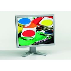 Eizo L985EX 21-Zoll TFT-Monitor weiss/beige (DVI)