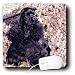 cocker_spaniel4cocker spaniel - Dogs Cocker Spaniel Black Cocker Spaniel Mouse Pads