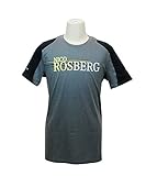 プーマ メルセデス AMG ペトロナス F1チーム N.ロズベルグ ドライバーズ Tee 2014 (S, グレー)