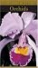 Book The Little Book of Orchids (Little Book of . . .)