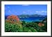 Trees with Red Blossoms and Little Tobago Island, Speyside, Trinidad & Tobago Lonely Planet Collection Framed Photographic Poster Print by Michael Lawrence, 36x25