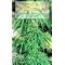 Misc Books about Cannabis