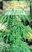 Cooking with Ganja: Complete Guide to Cooking with Cannabis