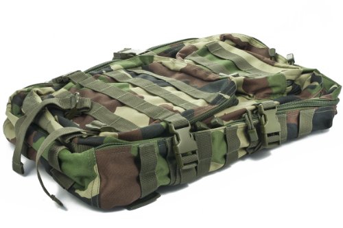 Camouflage Militaire Armée Sac à dos US assault pack 50L MOLLE Central Europe (CE)