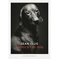 Sean Ellis: Kubrick the Dog