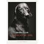 Kubrick - The Dog von Sean Ellis