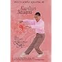 Wild Goose III - Kunlun Bagua Qigong - Intermediate