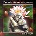 Tantric Heart-Music for Lovers
