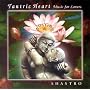 Tantric Heart-Music for Lovers