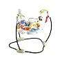 Fisher-Price V4556 Luv U Zoo Jumperoo by Fisher-Price