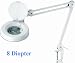 2-in-1 Spring-Arm Magnifier Lamp - 5 Lens - 8-Diopter - Daylight Fluorescent