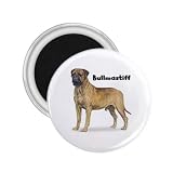 Bullmastiff Refrigerator Magnet