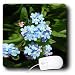 Flowers - Forget me not - Mouse Pads