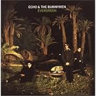 Evergreen by Echo & The Bunnymen