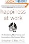 Happiness at Work: Be Resilient, Motivated, and Successful - No Matter What