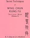 Secret Techniques of Wing Chun Kung Fu: Third Level -- Bil Jee