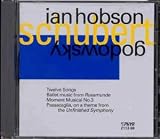 Schubert/Godowsky: Piano Works