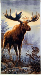 Northwoods MOOSE by HAUTMAN Bath or BEACH TOWEL New