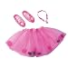 Barbie and The 12 Dancing Princess Tutu and Slippers