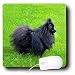 pomeranian33 - Dogs Pomeranian Black Pomeranian Mouse Pads