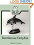 Bottlenose Dolphin (Carving Sea Life)