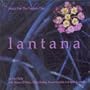 Lantana