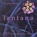 Lantana