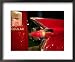1959 Red Cadillac, Elvis Presley Automobile Collection Museum, Memphis, Tennessee, USA Framed Art Poster Print by Walter Bibikow, 22x18