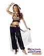 Harem Dancer Costume