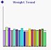 Weight Watcher downloadable Software
