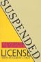 Suspended License: Censorship and the Visual Arts