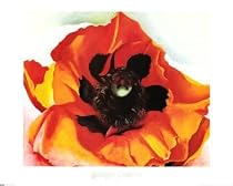 Poppy Botanical Art Poster Print by Georgia O'keeffe, 30x24