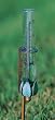 Verdigris Finished Brass Rain Gauge with Garden Stake