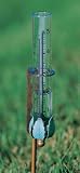 Verdigris Finished Brass Rain Gauge with Garden Stake
