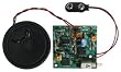 Ramsey ECS1 Electronic Cricket Sensor Kit