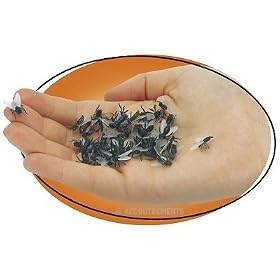 FISTFUL OF FLIES by American Science & Surplus