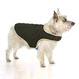 Dog Gone Smart Quilted Jacket for Dogs, 12-Inch, Olive