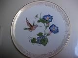 Calliope Hummingbird Collector Plate