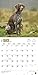German Shorthaired Pointers (Intl) 2016 Square 12x12
