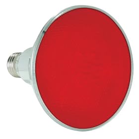 Lamplite LL-Par38LEDR Red LED Flood Lamp Medium Screw Base