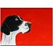 25 Pack Pointer Note Cards by Dick Larsen